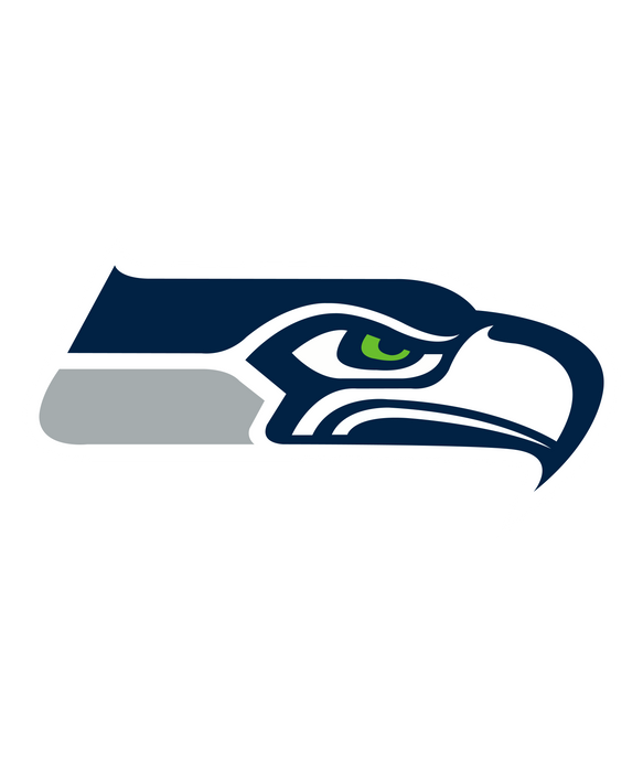 All NFL Team Logo Designs