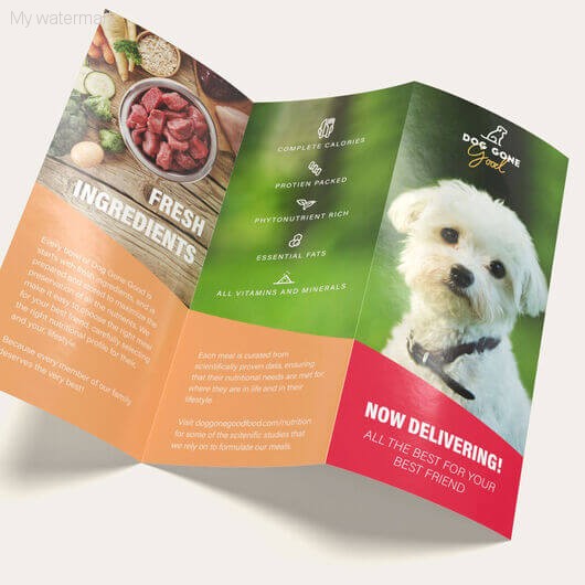 Brochures - Brochures (Print)